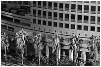 Palm trees, and Adobe building from above. San Jose, California, USA ( black and white)