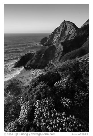 Devils slide with wildflowers, late afternoon. San Mateo County, California, USA (black and white)