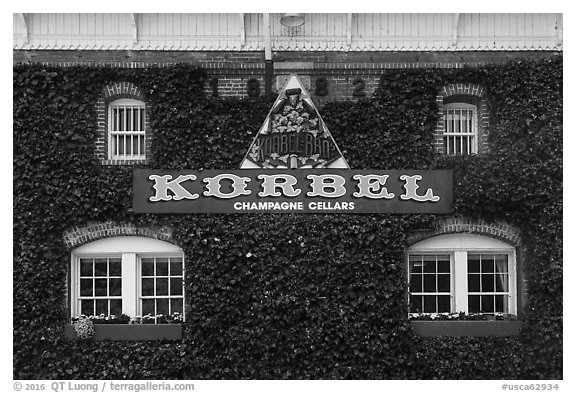 Korbel Champagne Cellars facade with ivy, Guerneville. California, USA (black and white)