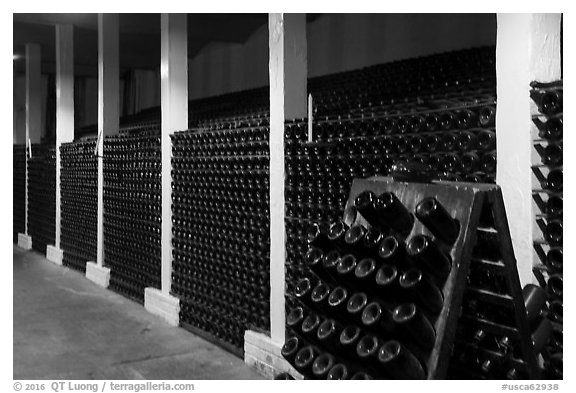 Bottles in cellar, Korbel Champagne Cellars, Guerneville. California, USA (black and white)