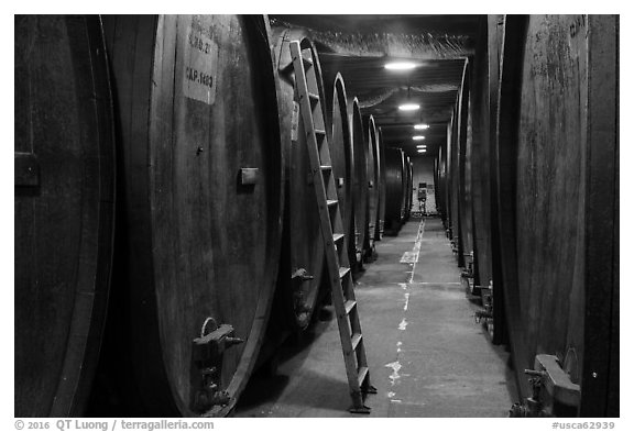 Huge barrels in cellar, Korbel Champagne Cellars, Guerneville. California, USA (black and white)