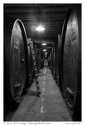 Huge barrels, Korbel Champagne Cellars, Guerneville. California, USA (black and white)