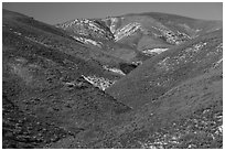 Wildflowers-covered hills, Temblor Range. Carrizo Plain National Monument, California, USA ( black and white)