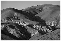 Temblor Range hills with wildflowers. Carrizo Plain National Monument, California, USA ( black and white)