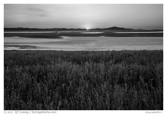 Sunset over Soda Lake in spring. Carrizo Plain National Monument, California, USA (black and white)