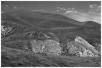Hills covered with multicolored flower carpets. Carrizo Plain National Monument, California, USA ( black and white)