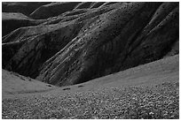 Hills with blazing stars, phacelia, hillside daisies, and folds. Carrizo Plain National Monument, California, USA ( black and white)