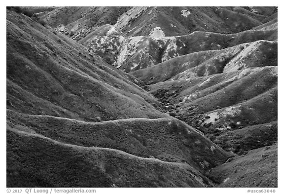 Ridges in springtime. Carrizo Plain National Monument, California, USA (black and white)