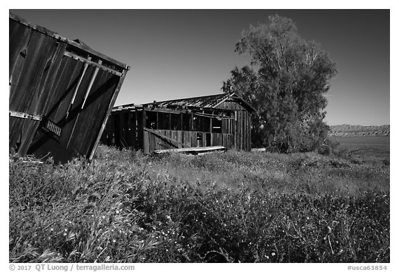 Traver Ranch. Carrizo Plain National Monument, California, USA (black and white)