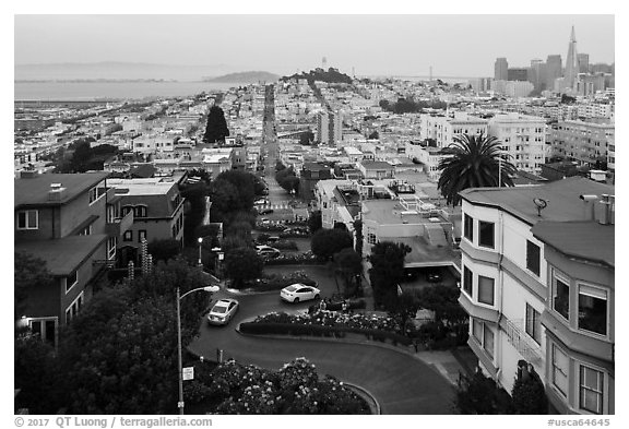 Aerial view of Lombard Street, Coit Tower, and Transamerica Pyramid. San Francisco, California, USA (black and white)