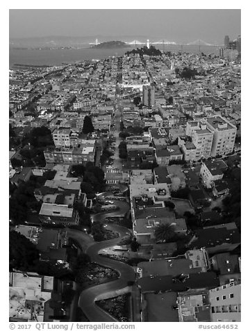 Aerial view of Lombard Street, Coit Tower, and Bay at night. San Francisco, California, USA (black and white)
