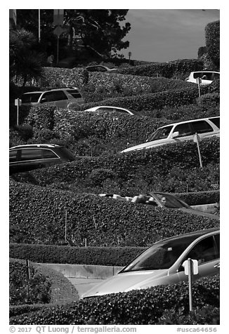 Lombard Street from the bottom with cars on turns. San Francisco, California, USA (black and white)