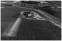 Aerial view of vineyard and winery in summer. Livermore, California, USA ( black and white)