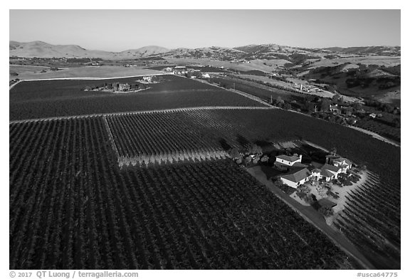 Aerial view of vineyards and wineries in summer. Livermore, California, USA (black and white)