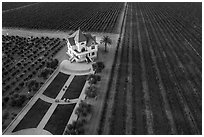 Aerial view of Concannon winery and rows of vines in summer. Livermore, California, USA ( black and white)