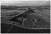 Aerial view of vineyards and wineries in summer, sunset. Livermore, California, USA ( black and white)