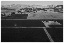 Aerial view of vineyards and hills at dusk. Livermore, California, USA ( black and white)