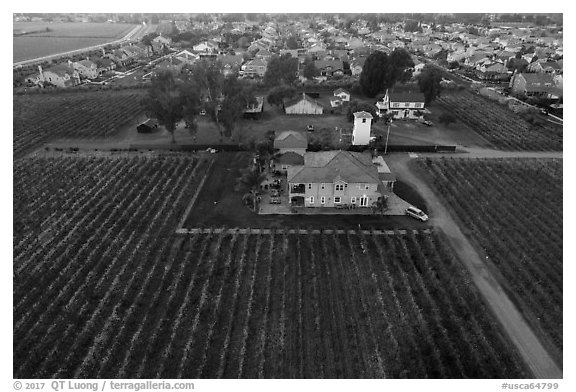 Aerial view of winery at the edge of suburban housing. Livermore, California, USA (black and white)