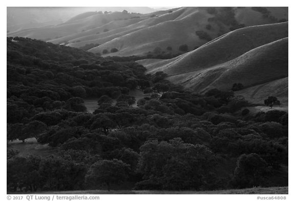 Oaks and hill ridges, spring, Del Valle Regional Park. Livermore, California, USA (black and white)