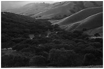 Oaks and hill ridges, spring, Del Valle Regional Park. Livermore, California, USA ( black and white)