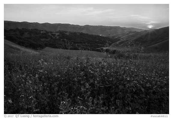 Spring Sunset over Del Valle Regional Park. Livermore, California, USA (black and white)