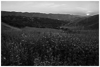 Spring Sunset over Del Valle Regional Park. Livermore, California, USA ( black and white)