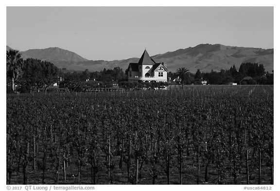 Winery. Livermore, California, USA (black and white)