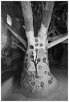 Artificial tree inside Salvation Mountain. Nyland, California, USA ( black and white)
