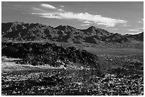 Lava field and mountains. Mojave Trails National Monument, California, USA ( black and white)