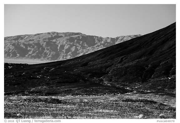 Amboy Crater slope and mountains. Mojave Trails National Monument, California, USA (black and white)