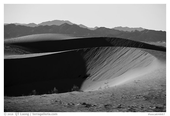 North Cadiz Dunes, afternoon. Mojave Trails National Monument, California, USA (black and white)