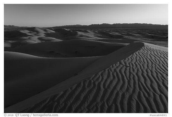 Ripples on dunes, Cadiz Sand Dunes. Mojave Trails National Monument, California, USA (black and white)