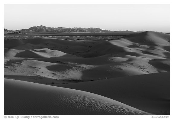 Dunes and mountains at sunset, Cadiz Dunes. Mojave Trails National Monument, California, USA (black and white)