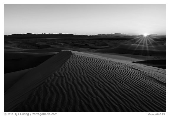 Sun setting over Cadiz Sand Dunes. Mojave Trails National Monument, California, USA (black and white)