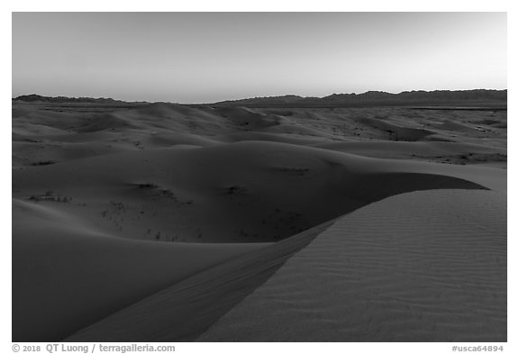 Dusk, Cadiz Dunes Wilderness. Mojave Trails National Monument, California, USA (black and white)