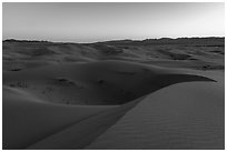 Dusk, Cadiz Dunes Wilderness. Mojave Trails National Monument, California, USA ( black and white)