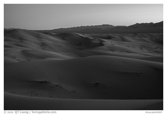 Dune ridges and Shiphole Mountains at dusk, Cadiz Dunes. Mojave Trails National Monument, California, USA (black and white)