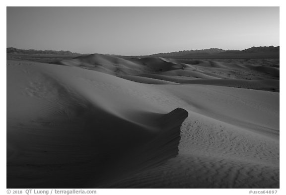 Cadiz Wilderness Sand Dunes and Shiphole Mountains at dusk. Mojave Trails National Monument, California, USA (black and white)