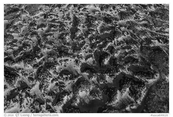 Aerial view of lava field near Amboy Crater. Mojave Trails National Monument, California, USA (black and white)