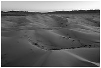 Aerial view of Cadiz Dunes Wilderness at dusk. Mojave Trails National Monument, California, USA ( black and white)
