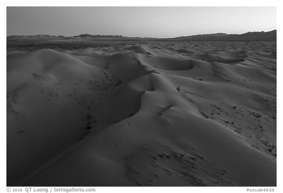 Aerial view of pristine Cadiz dunes at dusk. Mojave Trails National Monument, California, USA (black and white)
