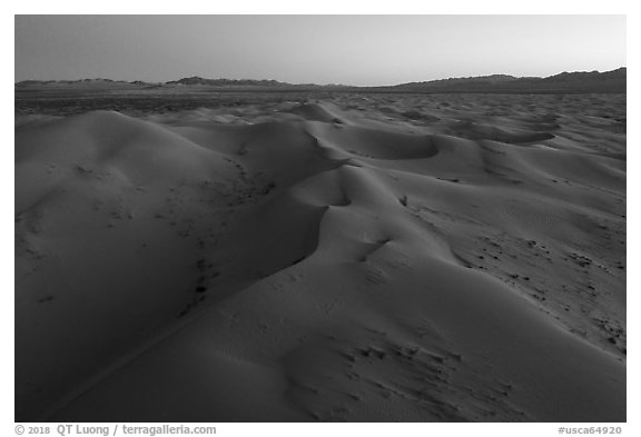 Aerial view of pristine Cadiz dunes at dusk. Mojave Trails National Monument, California, USA (black and white)