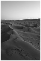 Aerial view of Cadiz Sand Dunes at dusk. Mojave Trails National Monument, California, USA ( black and white)