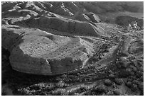 Aerial view of riparian vegetation and eroded hills, Afton Canyon. Mojave Trails National Monument, California, USA ( black and white)