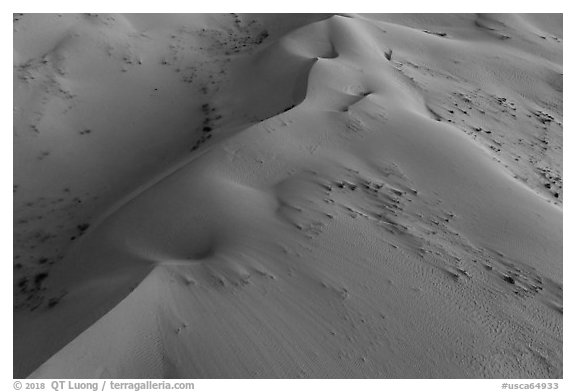 Aerial view of dune close-up, Cadiz Dunes. Mojave Trails National Monument, California, USA (black and white)