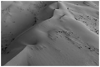 Aerial view of dune close-up, Cadiz Dunes. Mojave Trails National Monument, California, USA ( black and white)