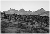 Castle Peaks at sunrise. Castle Mountains National Monument, California, USA ( black and white)
