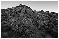 Castle Mountains, sunset. Castle Mountains National Monument, California, USA ( black and white)