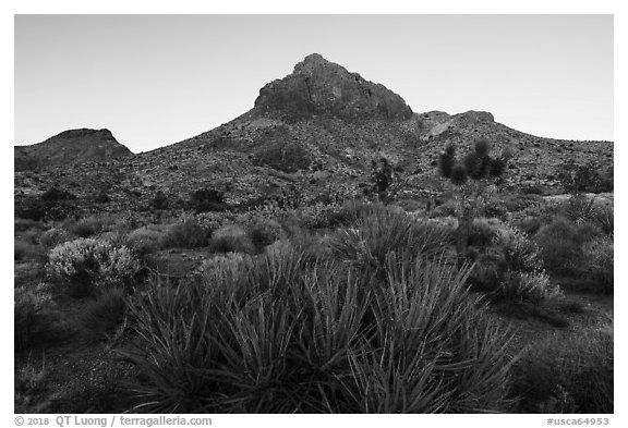 Hart Peak, sunset. Castle Mountains National Monument, California, USA (black and white)