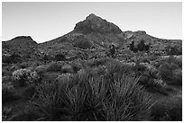 Hart Peak, sunset. Castle Mountains National Monument, California, USA ( black and white)